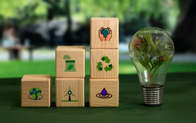 Sustainability Consulting